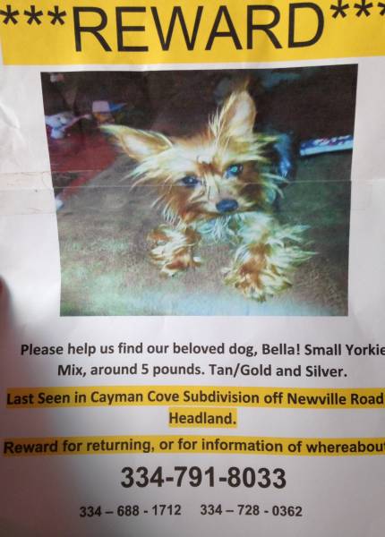 Missing in Headland
