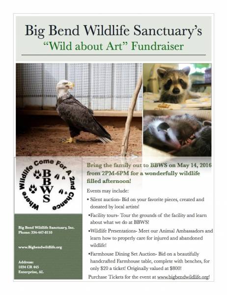 Big Bend Wildlife Sanctuary Art Auction and Open House