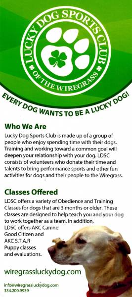 Lucky Dog Sports Club - Dog Training Classes Start Today!!!!