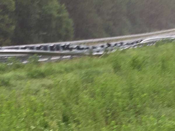 11:45 AM. Walton County Florida Wreck On Interstate