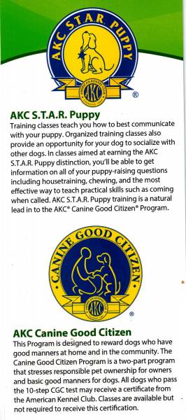 Lucky Dog Sports Club - Dog Training Classes