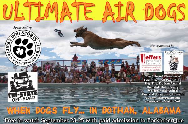 Flying Dogs in Dothan