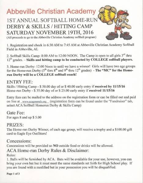 Softball Homerun Derby & Skills Camp