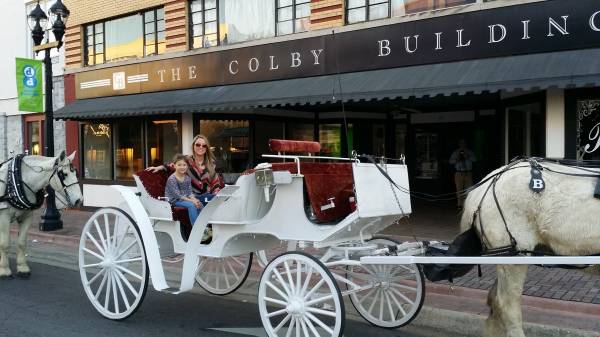Carriage rides downtown Dothan