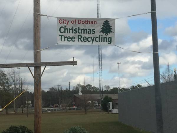 City of Dothan Christmas Tree Recycling