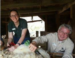 Sheep Shearing to be Featured Demonstration at Spring Farm Day