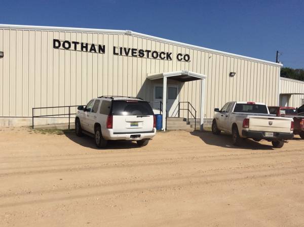 Dothan Livestock and Auction - Sunday - Monday - Tuesday