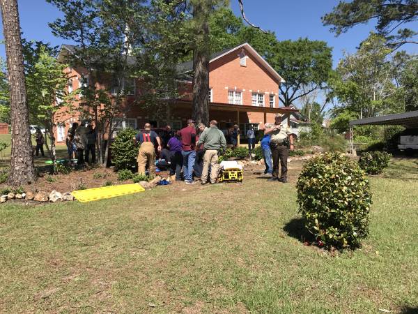 10:39 AM.  Vehicle Verses Building Then Verses Tree In Cottonwood