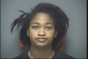 Female Charged  with Unlawful Breaking and Entering a Vehicle