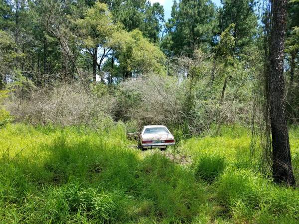 12:27 PM.... Vehicle in the Woods on Hwy 109 in Southern Junction