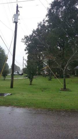 Wiregrass Electric Repairing Power Lines