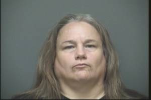 Woman Arrested for Theft of Property