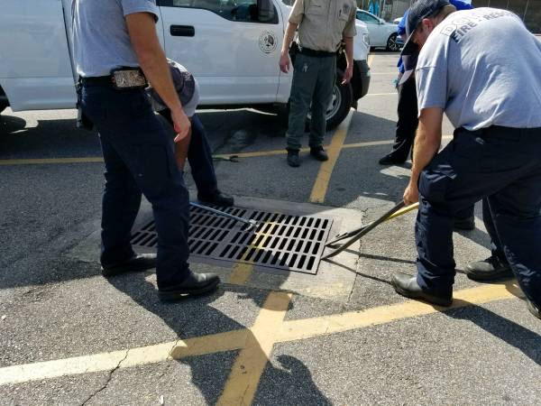 Kitten Stuck in a Storm Drain at Southside Wal-mart