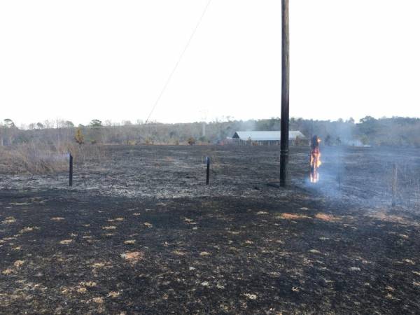 UPDATED at 9:20 PM... Grass Fire Claims Barn on Dale County Road 549