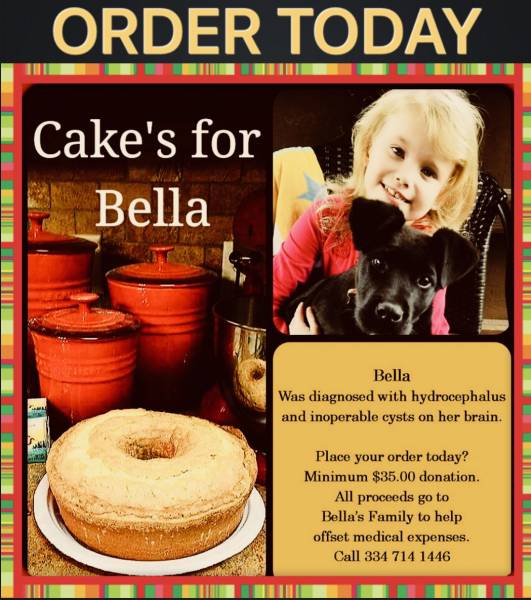 Friday...Last Day For Cake’s For Bella Orders.  Call Now To Help Bella