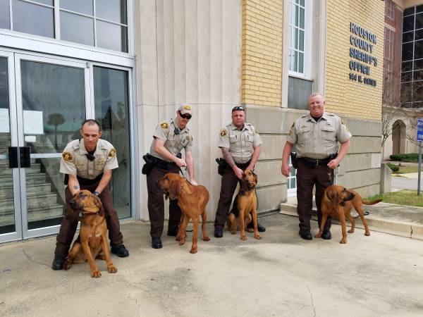 Houston County Sheriff’s Office Bloodhounds