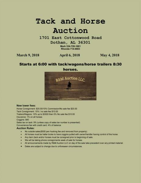 Tack and Horse Auction