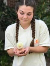 Wallace to Hosts First-Ever Poultry Science Expo