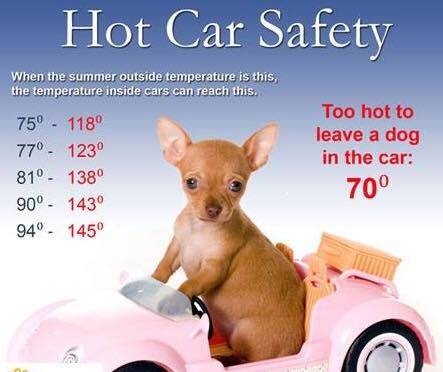 Dothan Police Warns Folks About leaving Children and Pets in Hot Cars
