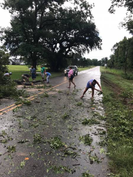 Neighbors Clear Road of Trees Down