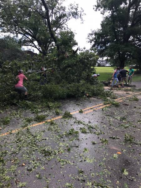 Neighbors Clear Road of Trees Down
