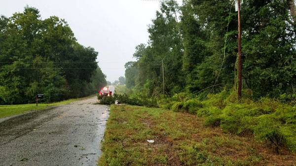 Trees and Power Lines Down on Providence Road