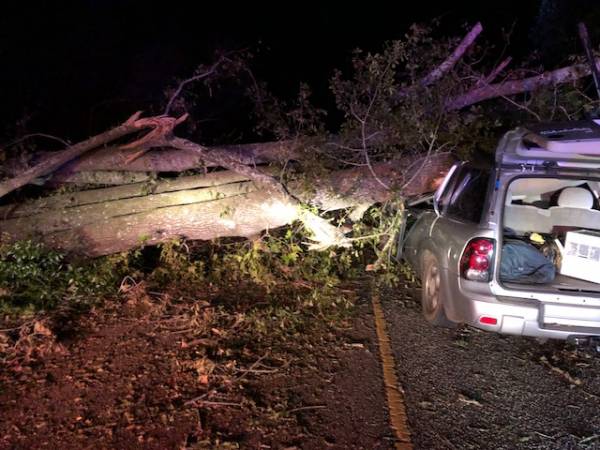6:58 PM.. Vehicle veres Tree on Bill Yance Road