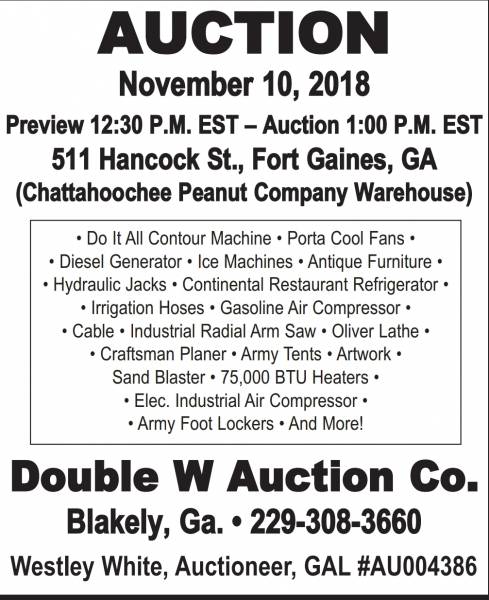 Auction in Blakely