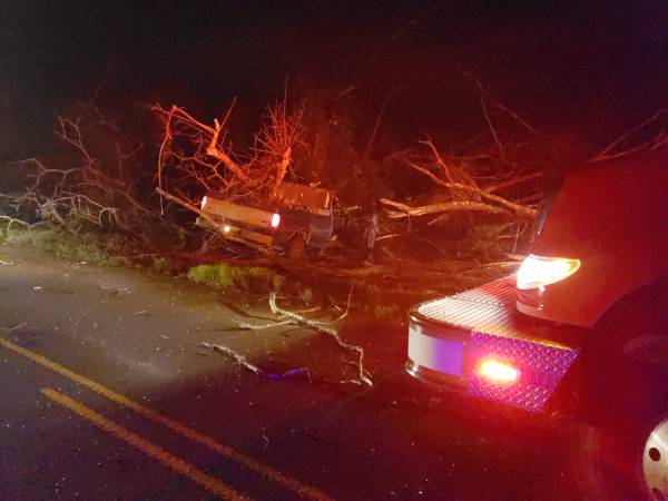 3:52 AM... Vehicle verse Tree on East Smithville Road