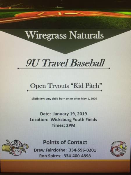 Wiregrass Naturals 9U Travel Baseball