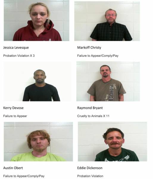 Dale County Sheriff’s Office Mugshots for