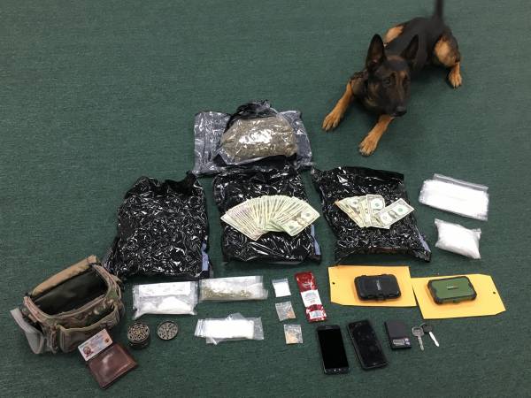 Okaloosa County Sheriff’s Office K9 Unit Earns Case of the Quarter
