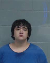 Teen arrested for meth; Battery on grandmother