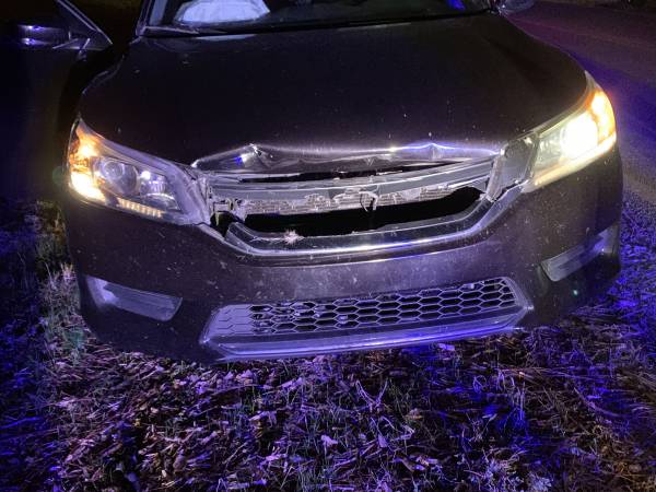 8:36 PM   Vehicle Verses Deer In Cottonwood