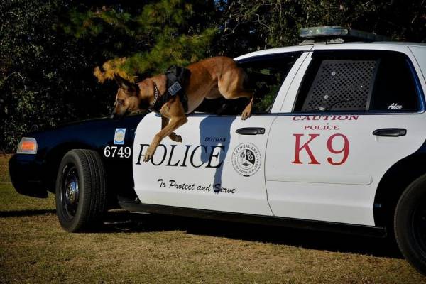 Dothan Police Department’s Canine Unit lost one of their own after a Short Battle with Cancer.