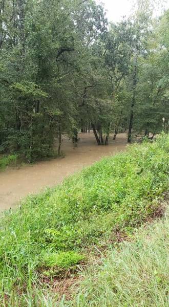 Photos of the creek on South Park South of Rehobeth
