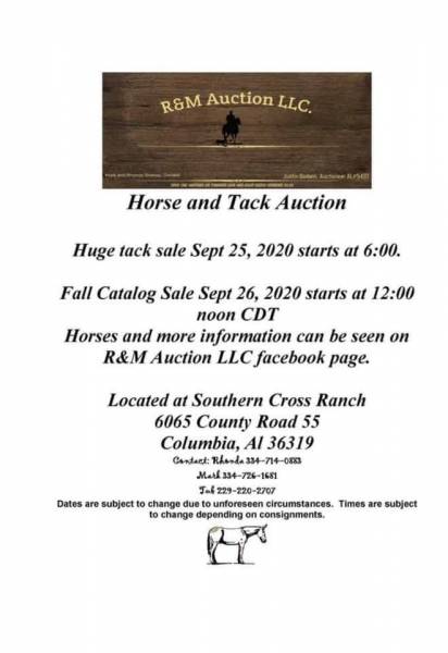 Horse and Track Auction