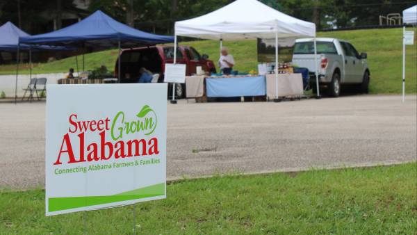 Must-Visit Sweet Grown Alabama Farmers Markets
