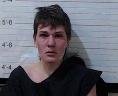 Enterprise Woman Arrested for Attempting to Elude
