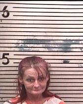 ONE ARRESTED FOR METH
