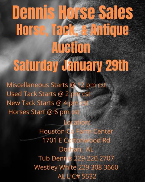 Dennis Horse Sales January 29th