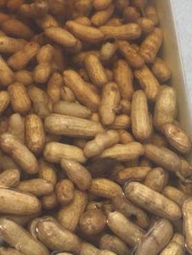 We are Open. Fresh Green Boiled Peanuts Today at Taylor Farmers Market