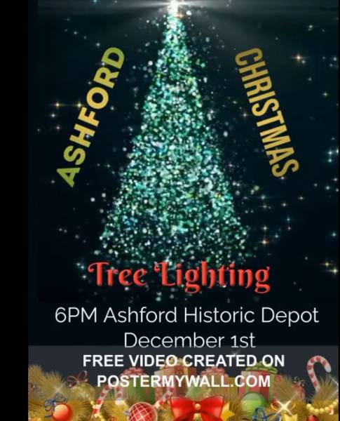 Ashford Christmas Tree Lighting