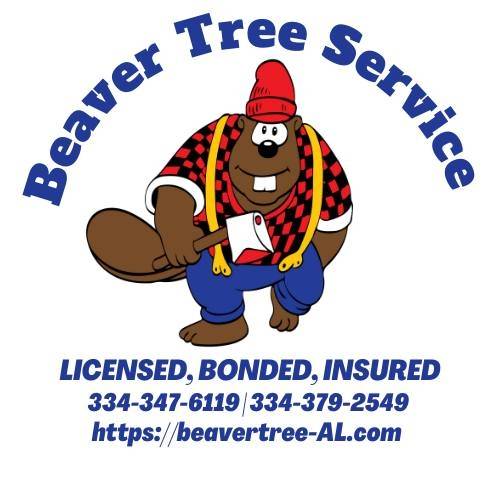 Help Wanted with Local Tree Service