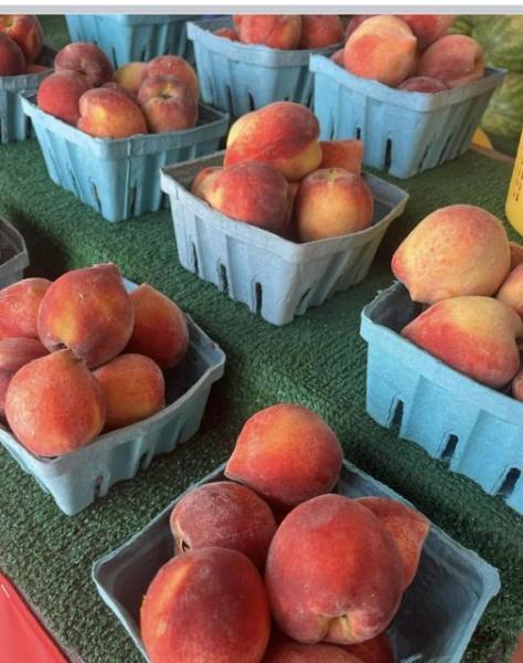 Bell Farms Has Peaches