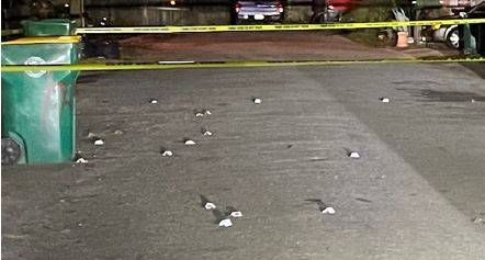 Shell Casings Litter Hardie Lane Following Reports of Shots Fired
